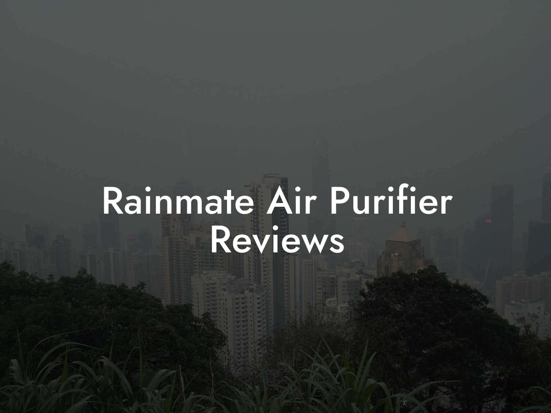 Rainmate Air Purifier Reviews