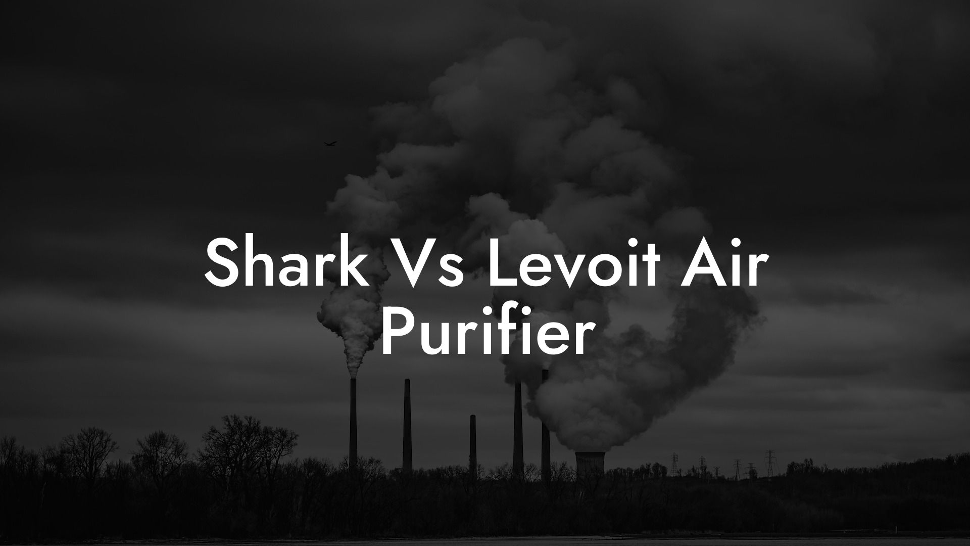 Shark Vs Levoit Air Purifier