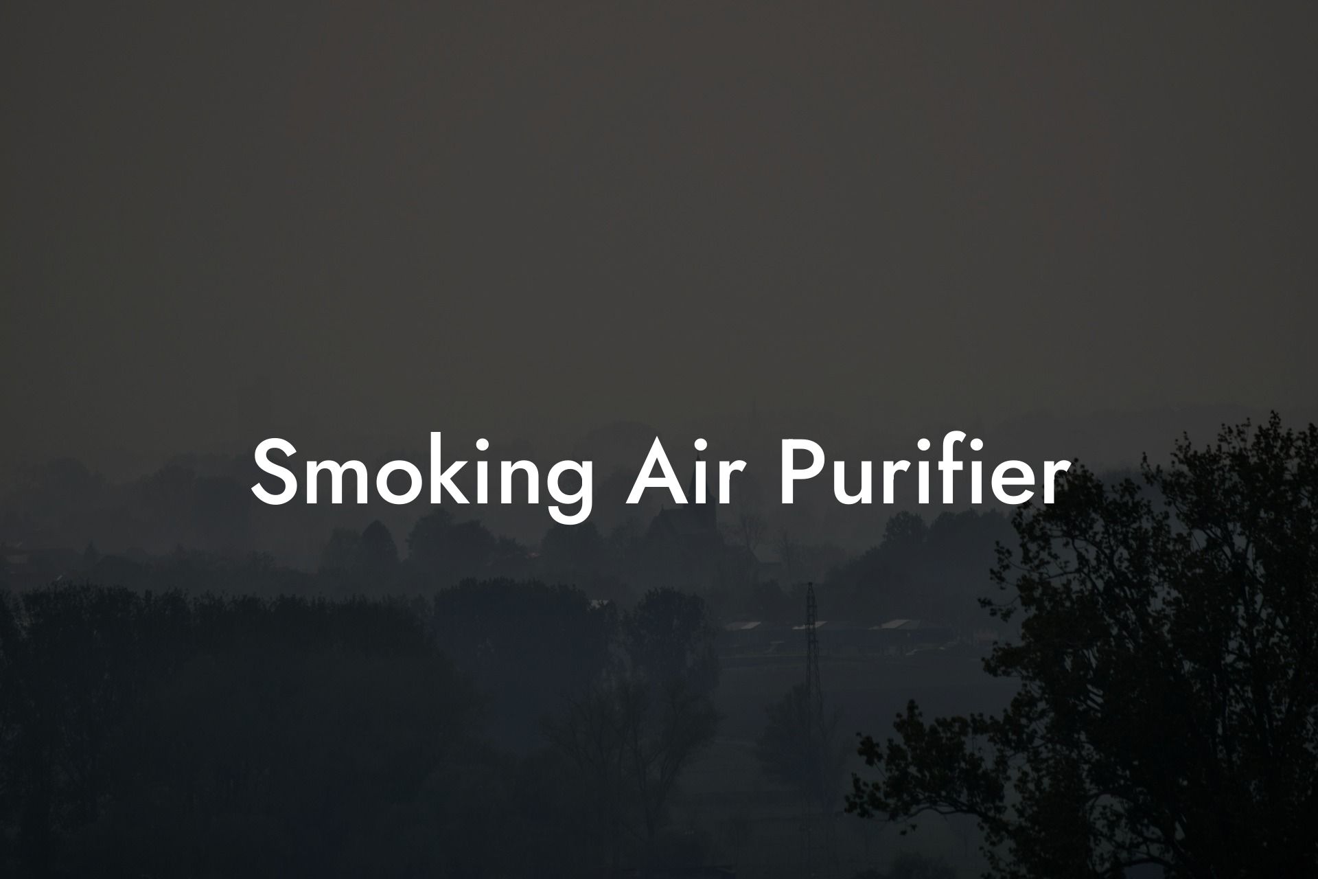 Smoking Air Purifier