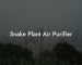 Snake Plant Air Purifier