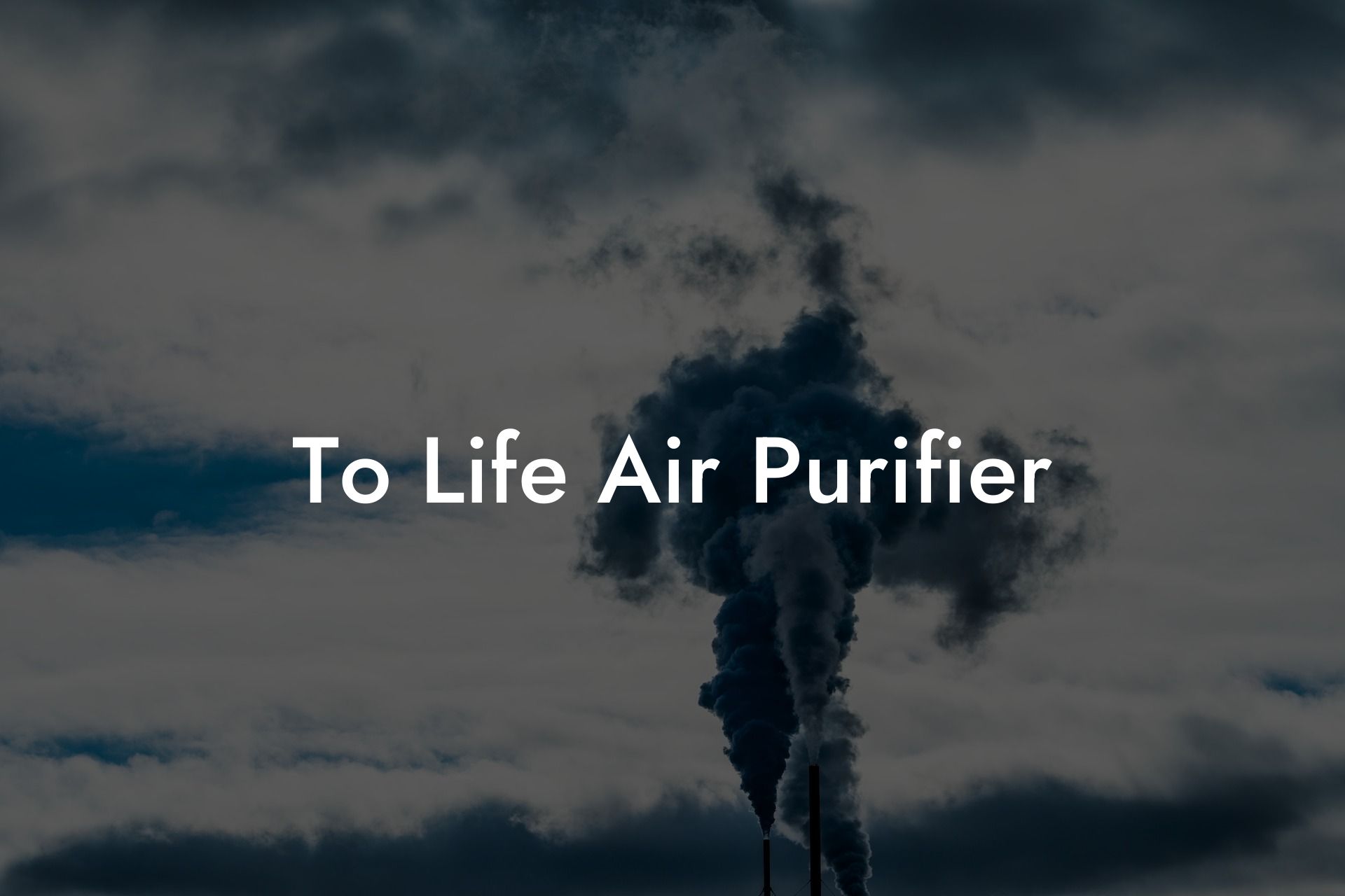 To Life Air Purifier