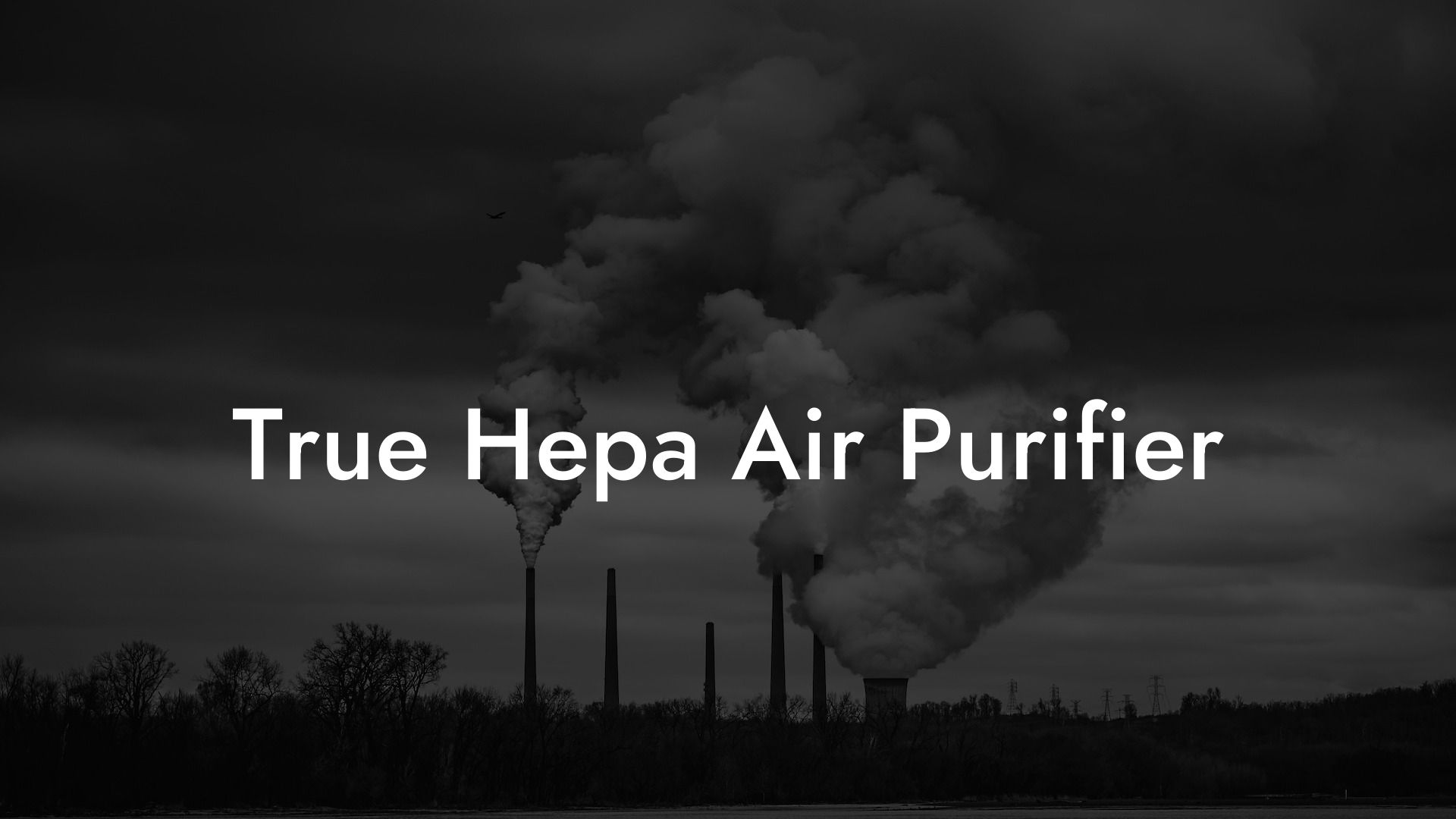 True Hepa Air Purifier