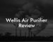 Wellis Air Purifier Review