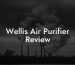 Wellis Air Purifier Review