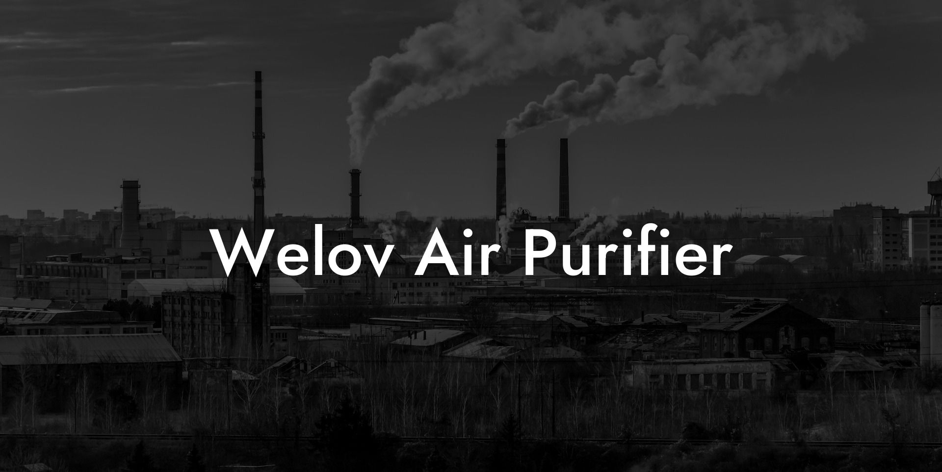 Welov Air Purifier