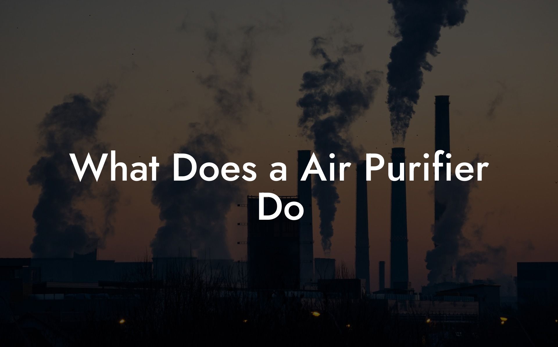 What Does a Air Purifier Do