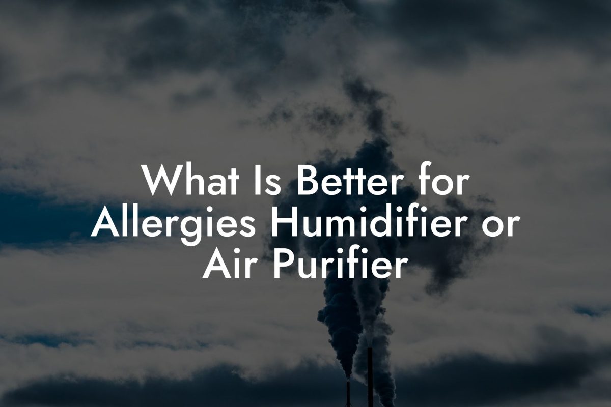 What Is Better for Allergies Humidifier or Air Purifier