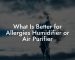 What Is Better for Allergies Humidifier or Air Purifier