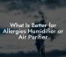 What Is Better for Allergies Humidifier or Air Purifier