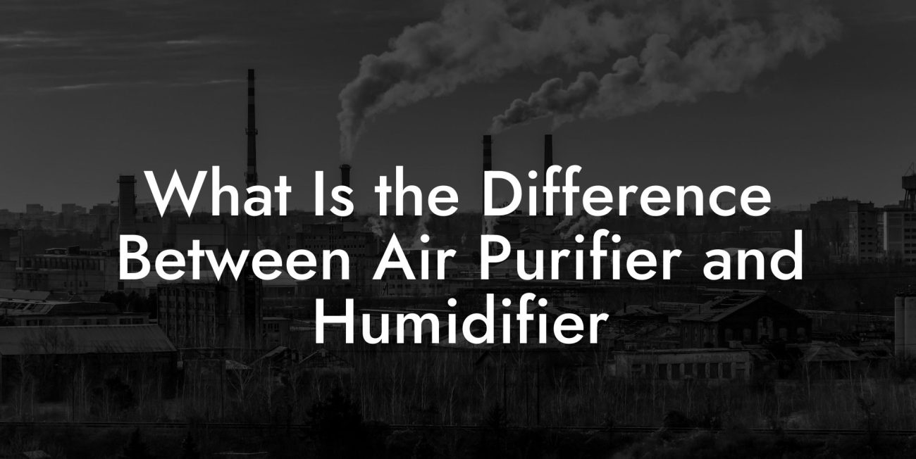 What Is the Difference Between Air Purifier and Humidifier