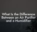 What Is the Difference Between an Air Purifier and a Humidifier