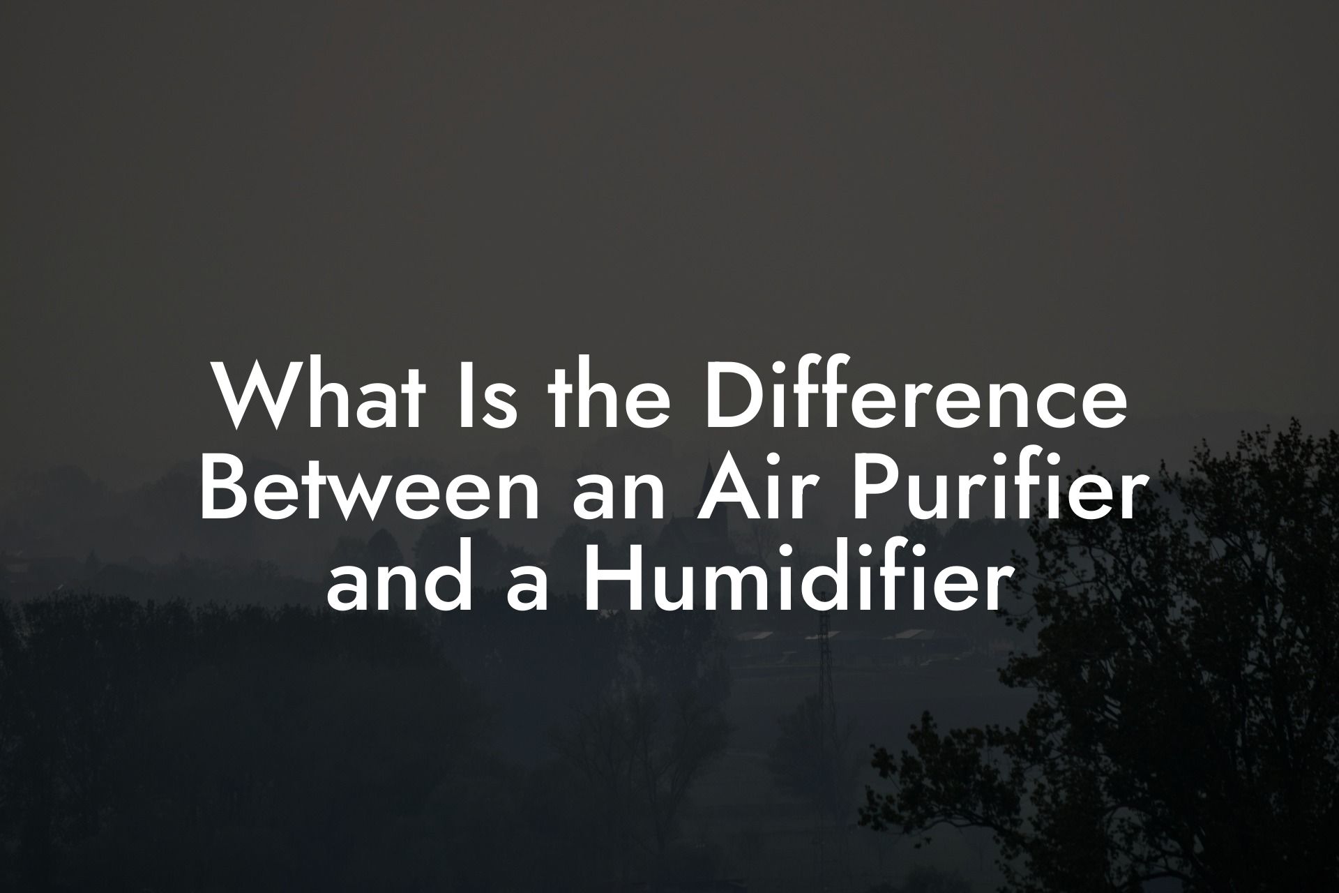 What Is the Difference Between an Air Purifier and a Humidifier