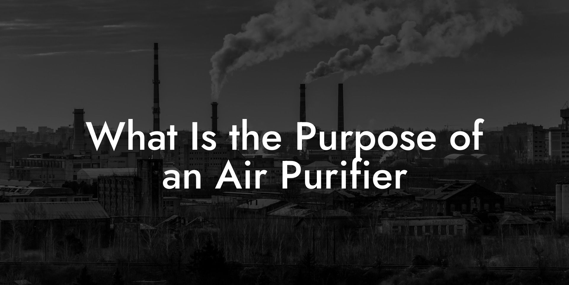 What Is the Purpose of an Air Purifier