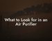 What to Look for in an Air Purifier