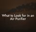 What to Look for in an Air Purifier