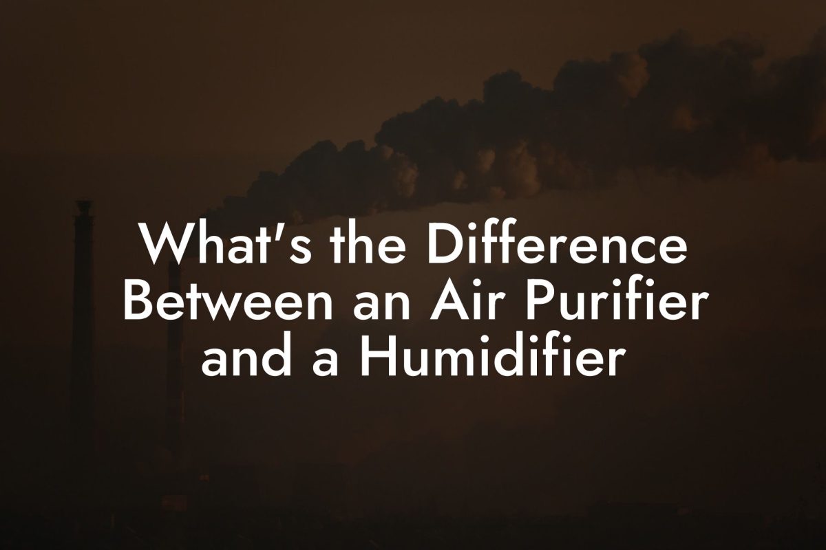 What's the Difference Between an Air Purifier and a Humidifier