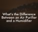 What's the Difference Between an Air Purifier and a Humidifier