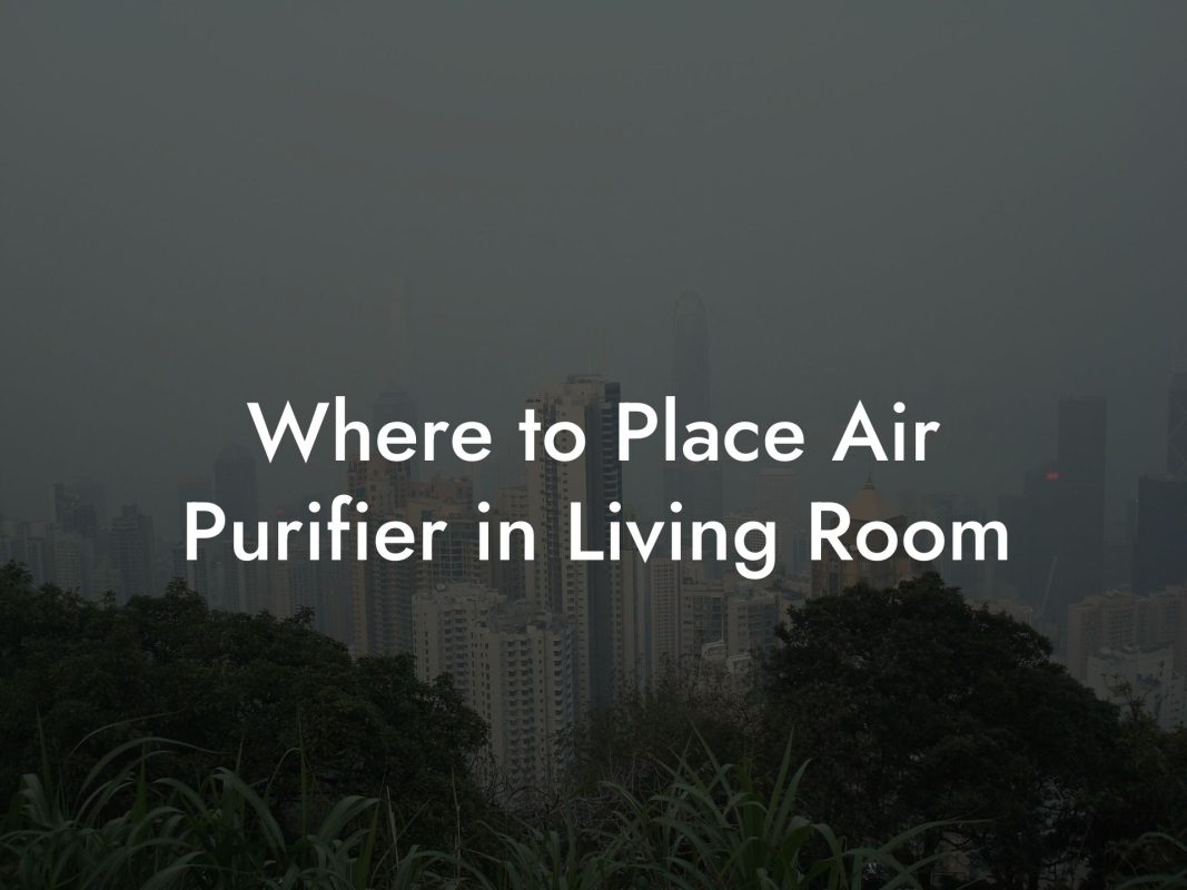 Where to Place Air Purifier in Living Room