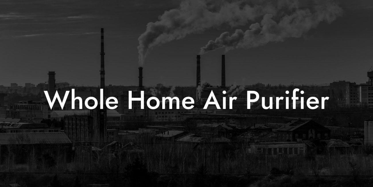 Whole Home Air Purifier