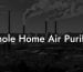 Whole Home Air Purifier