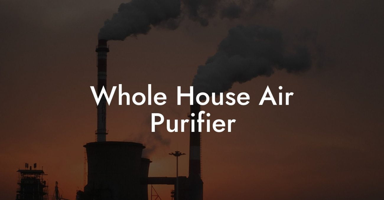 Whole House Air Purifier