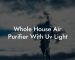 Whole House Air Purifier With Uv Light