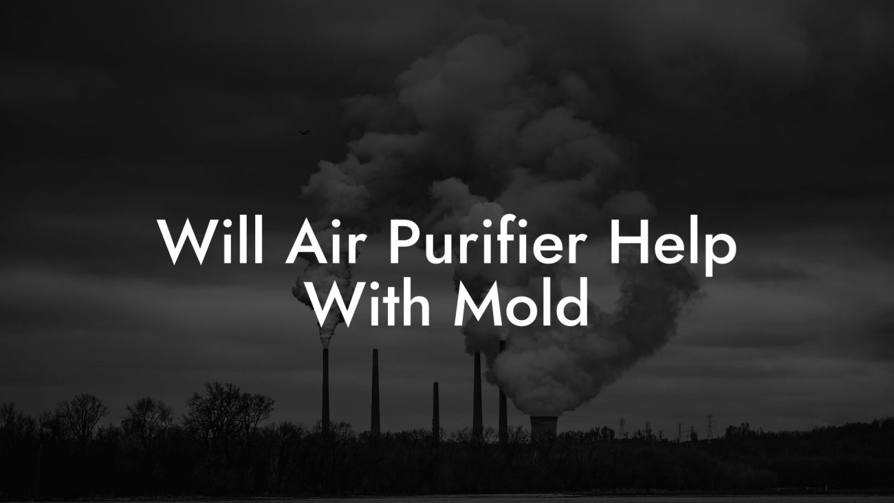 Will Air Purifier Help With Mold