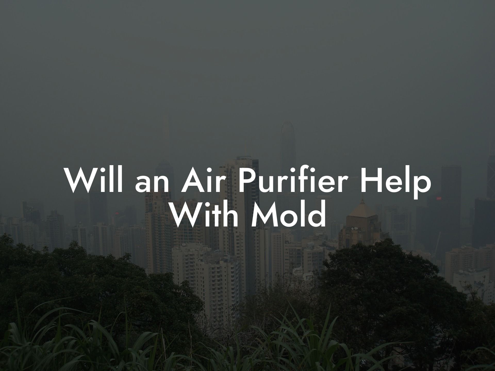 Will an Air Purifier Help With Mold