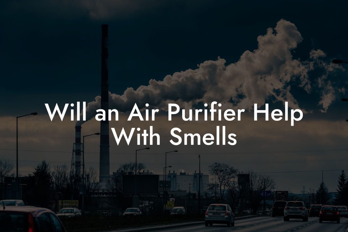 Will an Air Purifier Help With Smells