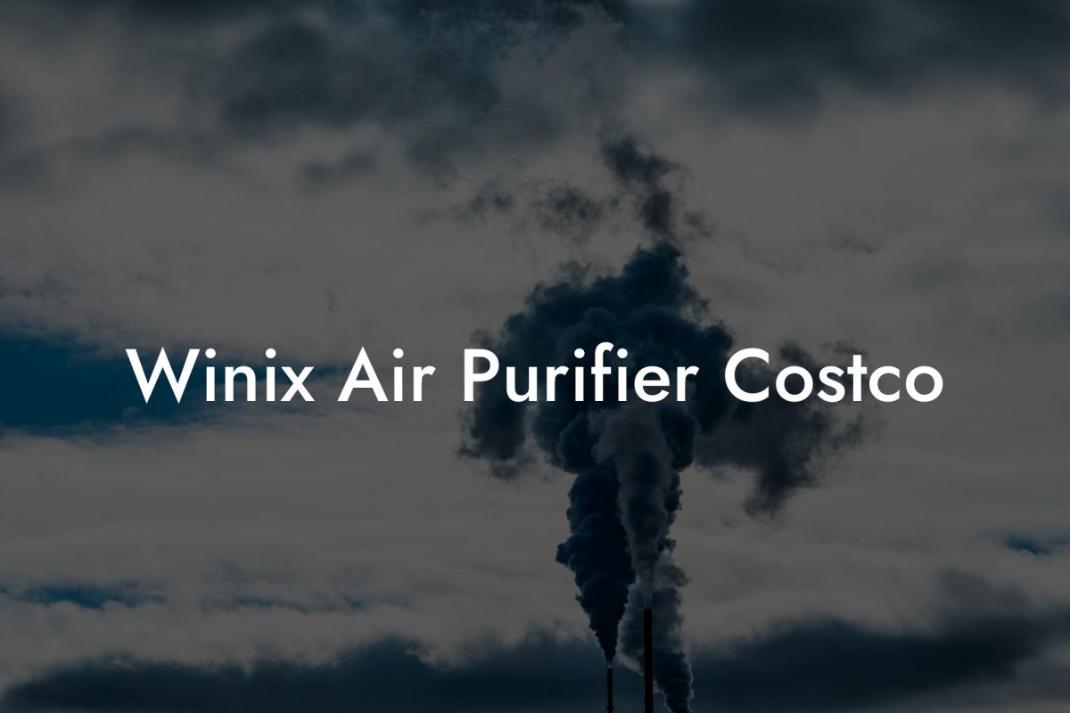 Winix Air Purifier Costco