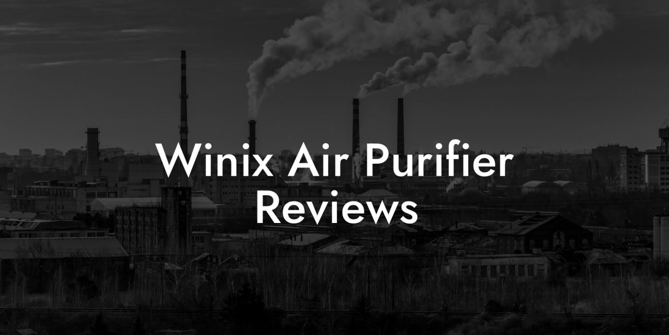 Winix Air Purifier Reviews