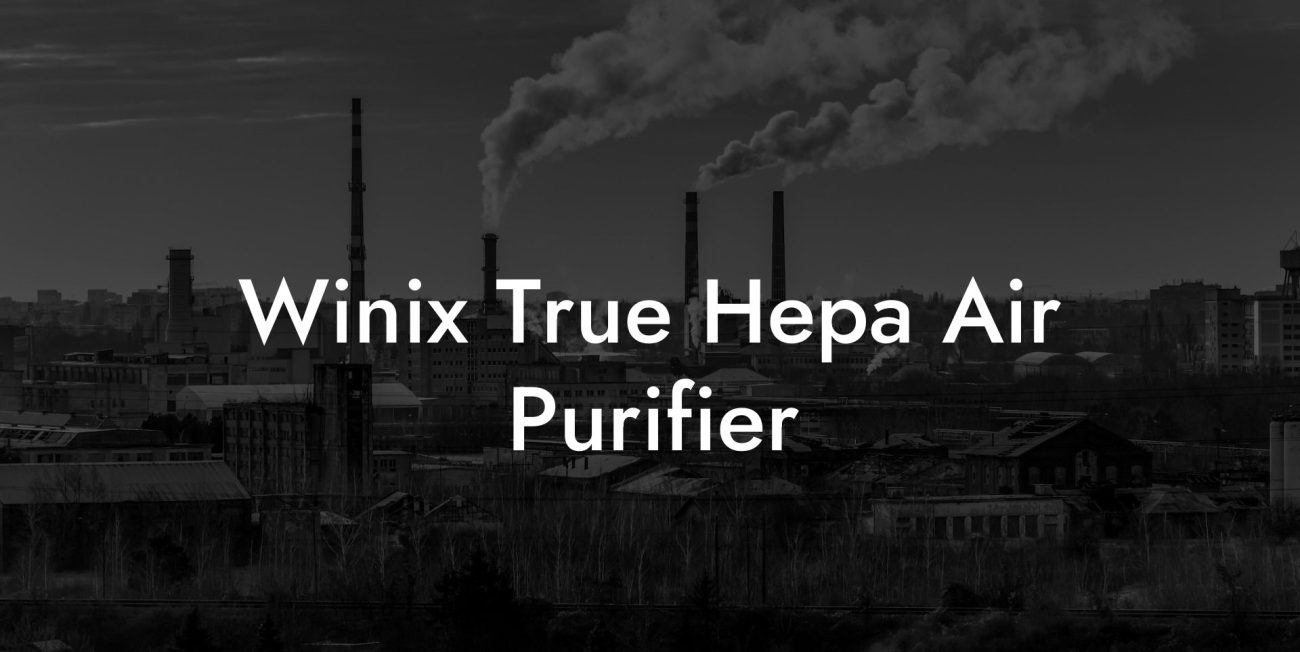 Winix True Hepa Air Purifier